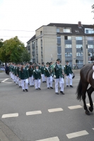 Festumzug 2014